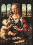  Leonardo  Da Vinci The Madonna of the Carnation oil